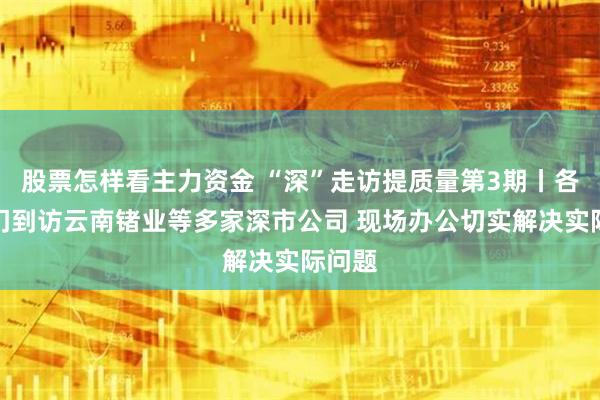 股票怎样看主力资金 “深”走访提质量第3期丨各级部门到访云南锗业等多家深市公司 现场办公切实解决实际问题