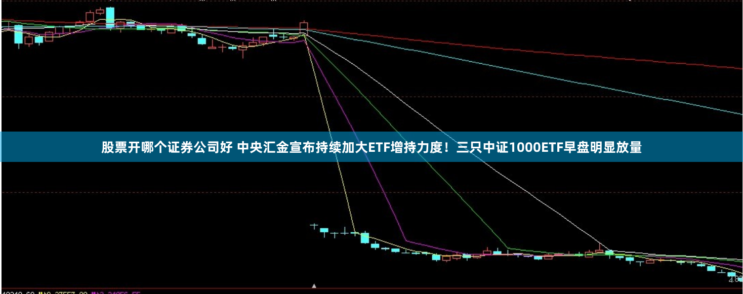 股票开哪个证券公司好 中央汇金宣布持续加大ETF增持力度！三只中证1000ETF早盘明显放量