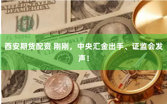 西安期货配资 刚刚，中央汇金出手、证监会发声！
